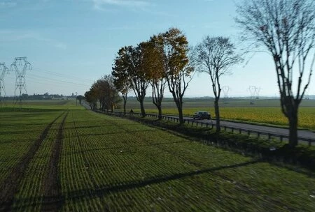 Момент из сериала Ходячие мертвецы Дэрил Диксон